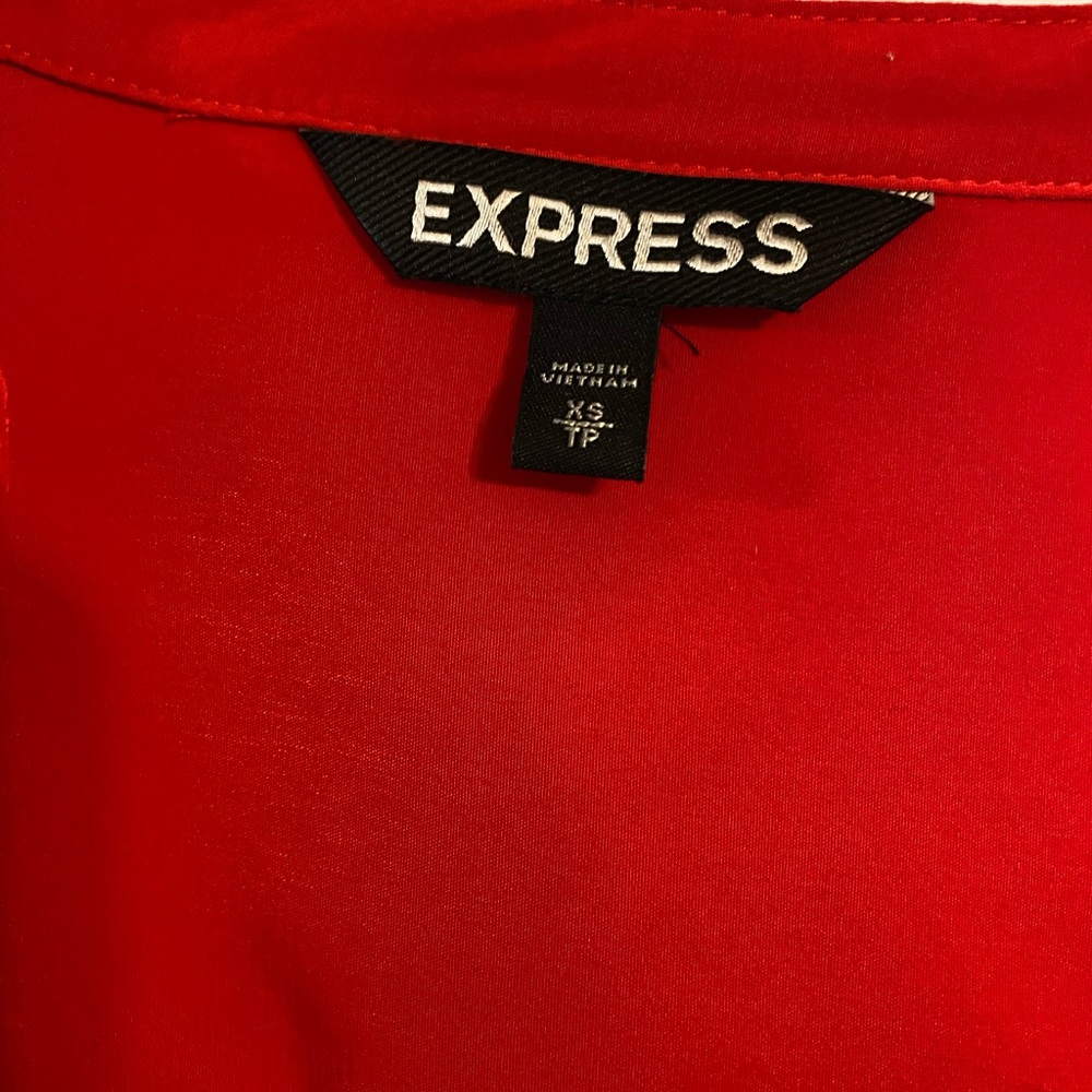 Express Button Down Dress - image 2